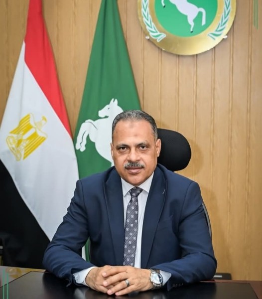 محافظ الشرقية يُصدر حركة تنقلات محدودة لإعادة تنظيم وتوزيع العمل بين عددٍ من رؤساء الوحدات المحلية برئاسة مركز ومدينة مشتول السوق