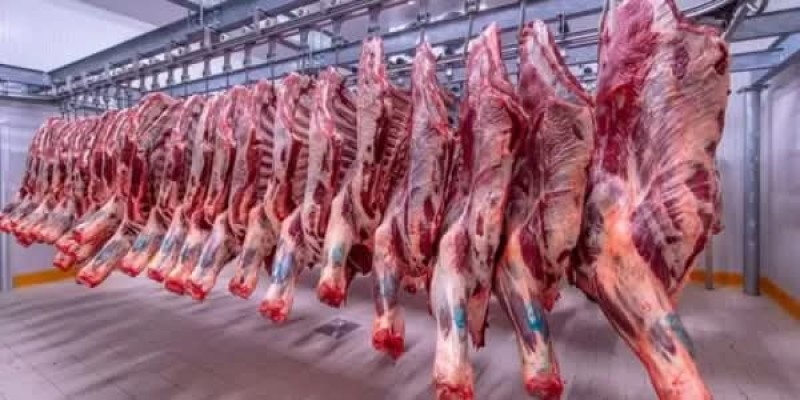 التموين تؤكد استمرار عمل المجمعات الاستهلاكية التابعة للشركة القابضة للصناعات الغذائية الوقفة وأول وثاني أيام العيد