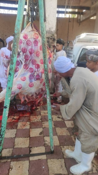محافظ أسيوط 