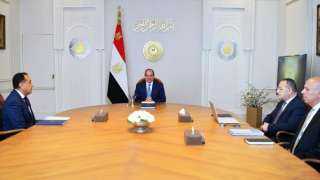 السيسي يتابع رؤية تحويل مصر إلى مركز إقليمي ودولي للتعليم العالي والبحث العلمي