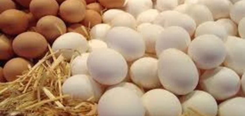 تراجع جديد في أسعار البيض اليوم بالأسواق