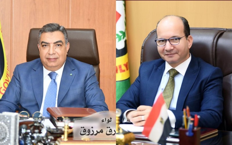 محافظ الدقهلية: 16.5 ألف خدمة من القوافل الطبية المجانية لـ 5539 شخص خلال مايو الماضي