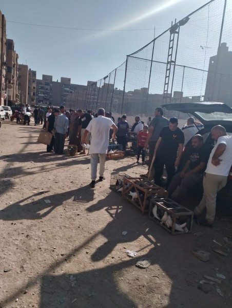 المحافظ يتابع حملة مكبرة لنقل سوق الحمام إلى سوق السيارات بالمجزر بحي غرب المنصورة