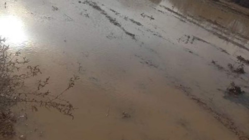 في ظاهرة نادرة الحدوث.. أمطار ببراني والسلوم ورعد وبرق بواحة سيوة