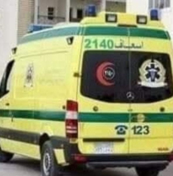مشـاجـرة وإصـابـة سيدة بمنزل بقرية دماص في الدقهلية