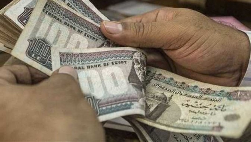 رواتب وتأمينات.. ”العمل” تعلن عن 4504 وظيفة في 14 محافظة خلال يونيو