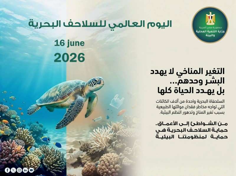 وزيرة التنمية المحلية والبيئة: حماية السلاحف البحرية ركيزة أساسية لصون التنوع البيولوجي وتحقيق الاستدامة
