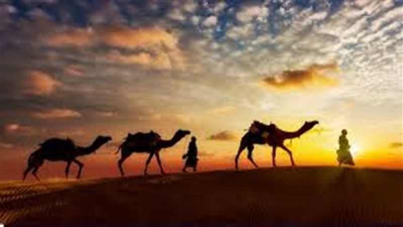 سر اختفاء الجمال الثلاثة خلال الهجرة النبوية