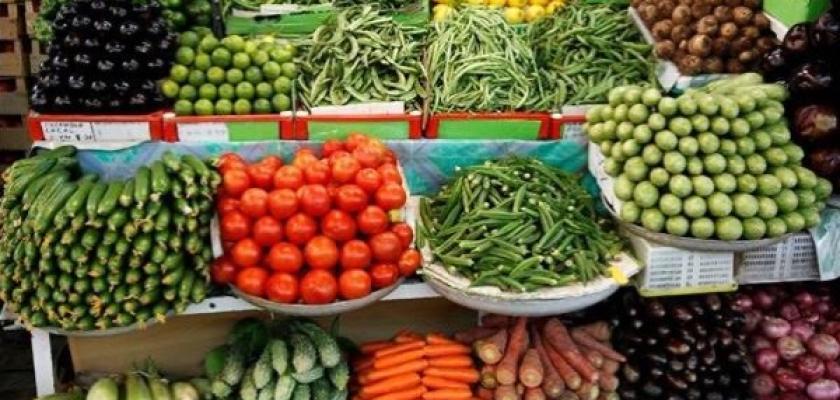 تراجع أسعار الطماطم والبطاطس والخيار والفاصوليا الخضراء والكوسة والفلفل