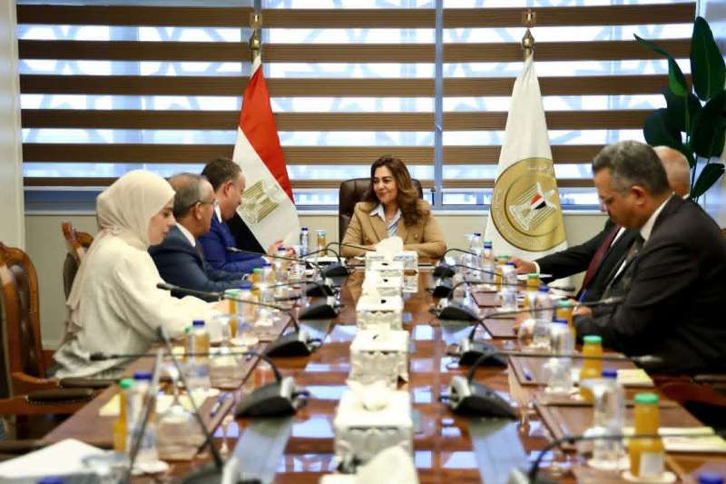 وزيرة التنمية المحلية والبيئة تبحث مع نقيب المهندسين عدد من مجالات وملفات التعاون المشترك