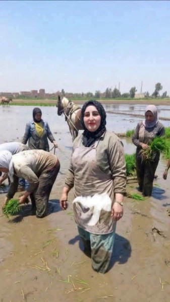 حادث مأساوي .. لدغة ثعبان تنهي رحلة سيدة أثناء شتل الأرز