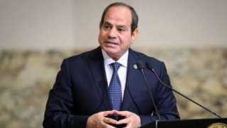 السيسي يوجه بتحقيق الاكتفاء الذاتي من السلع وإقامة شراكات قوية مع القطاع الخاص
