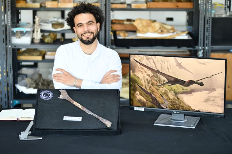 اكتشاف عالمي جديد لمركز جامعة المنصورة للحفريات الفقارية .. لأول مرة .. دليل حفري مؤكد يكشف عن كائنات حلّقت في سماء مصر قبل أكثر من 95 مليون سنة
