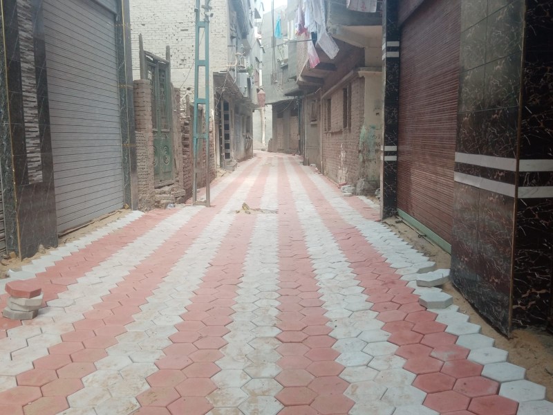 محافظ الدقهلية يتابع أعمال التطوير بشوارع قرية ”نشا” بمركز نبروه .. في خطوة تعزز الشراكة المجتمعية