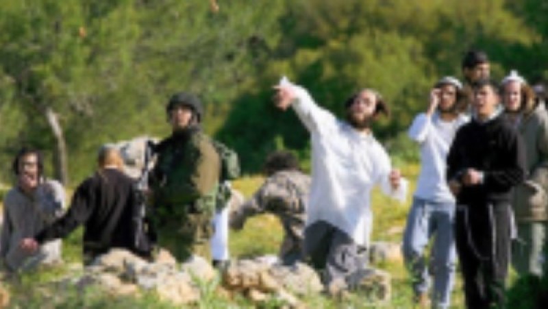 إصابة 6 فلسطينيين في اعتداء للمستوطنين بمسافر يطا بالضفة الغربية