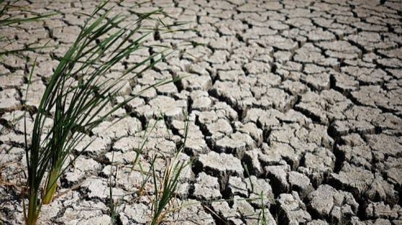 كارثة زراعية تضرب فرنسا.. البصل والجزر والفراولة في طريقها للاختفاء من الأسواق