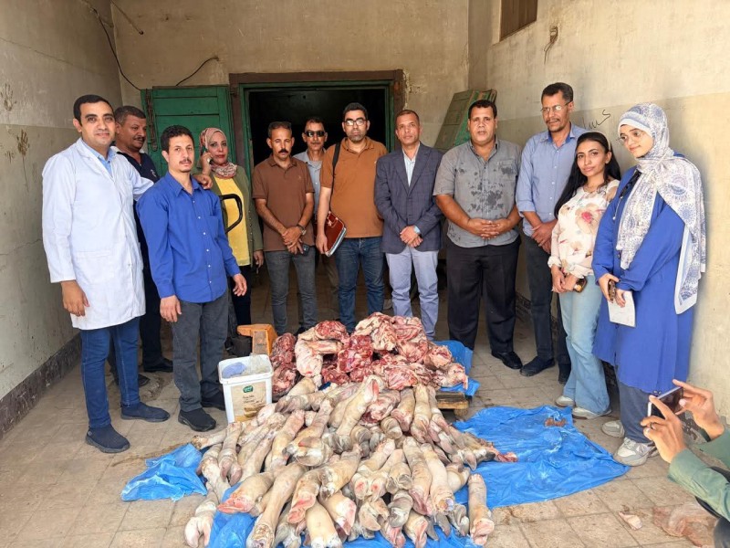ضبط ٢٥٠ كيلو جرامًا من اللحوم غير الصالحة للاستهلاك الآدمي بأحد المطاعم بمدينة سوهاج