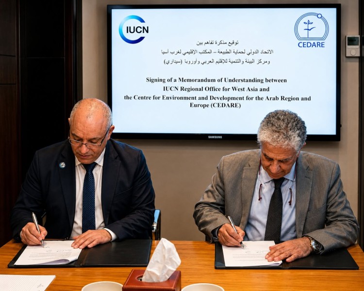 «سيداري» والاتحاد الدولي لحفظ الطبيعة يوقعان مذكرة تفاهم لتعزيز التعاون الإقليمي في حماية الطبيعة والتنمية المستدامة