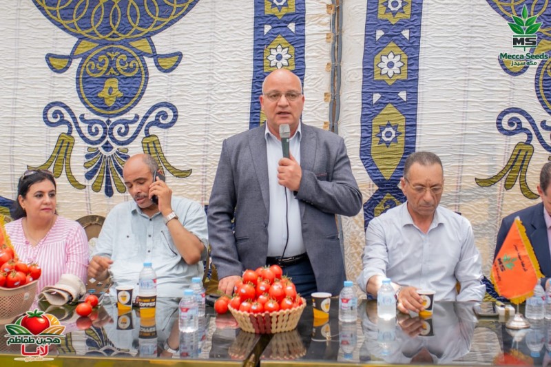 زراعة البحيرة تشهد يومًا حقليًا لهجين طماطم ”لانا” بأبوحمص لتعزيز التعاون مع القطاع الخاص