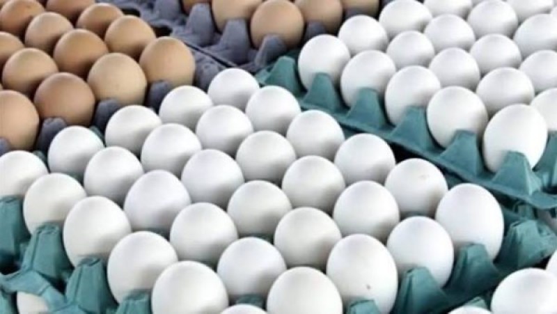 بعد هبوط الدواجن.. أسعار كرتونة البيض تفاجئ المواطنين اليوم السبت