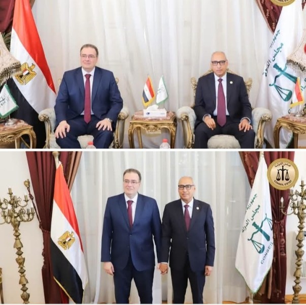 رئيس مجلس الدولة ورئيس التنظيم والإدارة يؤكدان تعزيز التعاون لدعم الإصلاح الإداري