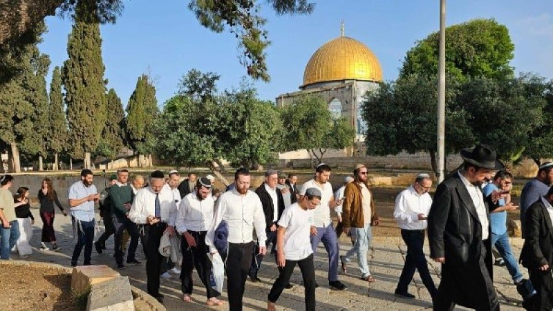 116 مستوطناً يقتحمون المسجد الأقصى بحماية الاحتلال