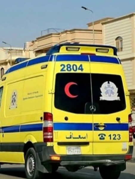 إصــابة ١٢ رايحين المصيف إثر انقلاب سيارة في ترعة بمحافظة كفر الشيخ