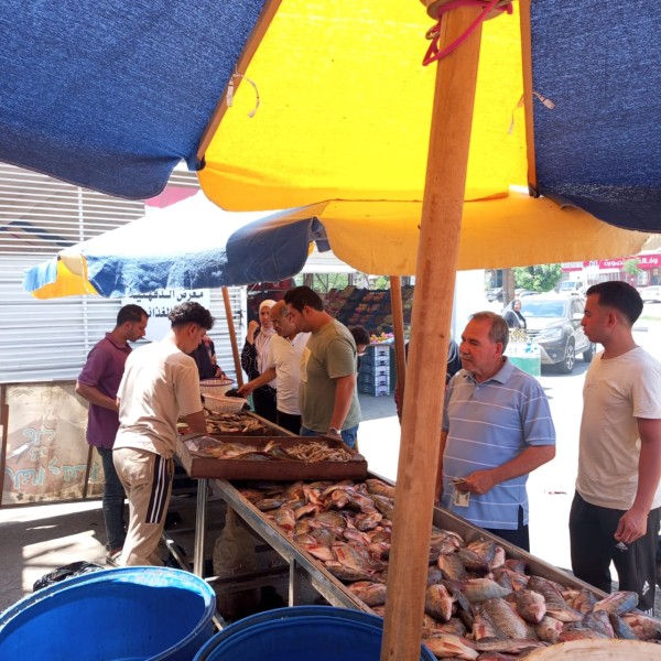 المحافظ يتابع مخبز المحافظة الكبير ومنافذ بيع الخبز المدعم بكافة المراكز والمعرض الدائم للسلع الغذائية ومعرض السلع الغذائية بحي غرب المنصورة