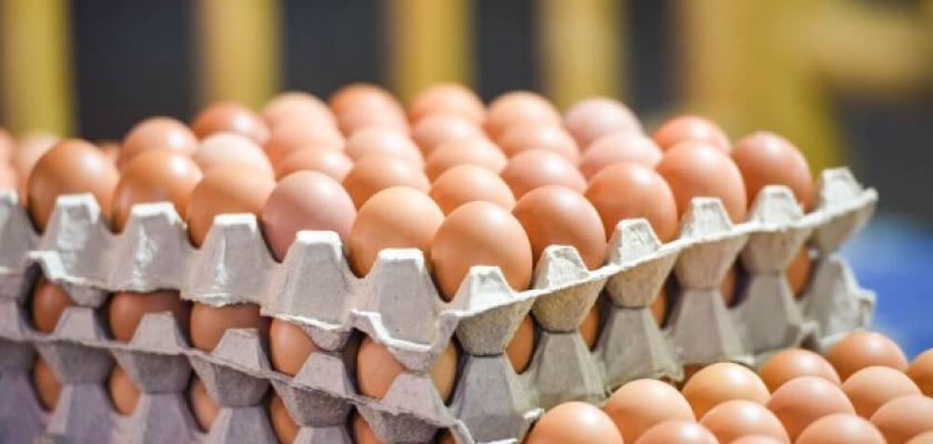 ارتفاع أسعار 10 سلع غذائية وتراجع سعر كرتونة البيض