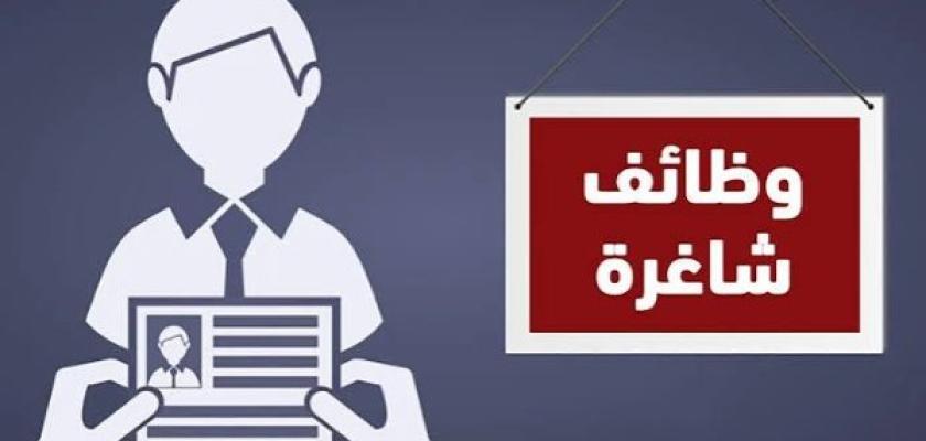 رواتب تصل إلى 20 ألف جنيه.. 795 فرصة عمل في 3 مدن جديدة