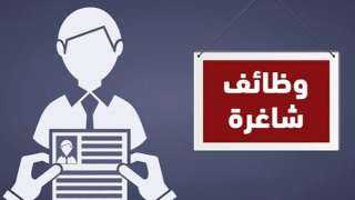 رواتب تصل إلى 20 ألف جنيه.. 795 فرصة عمل في 3 مدن جديدة