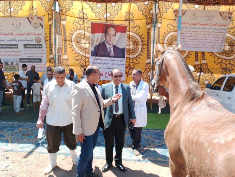 قوافل مديرية الطب البيطري بالدقهلية تجوب أنحاء المحافظة