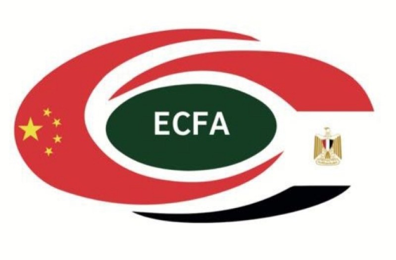 جمعية الصداقة المصرية الصينية تعرب عن بالغ ترحيبها بضيف مصر الرئيس الصيني شي جين بينغ