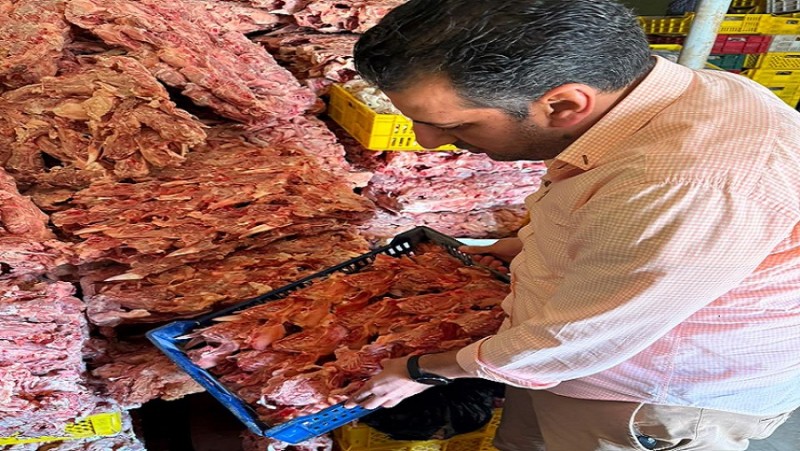 ضبط 17 طنًا و896 كجم.. تكثيف الحملات الرقابية على الأسواق بالغربية خلال أغسطس