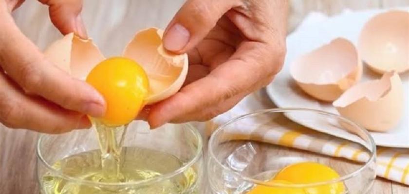 عبد اللطيف المر يحذر من البيض النيء واللبن غير المبستر للوقاية من السالمونيلا