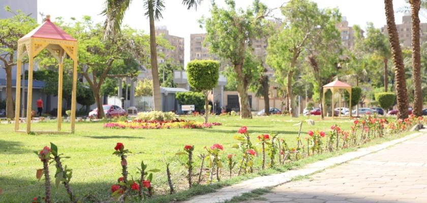 خفض الحرارة وتحسين الصحة.. فوائد التوسع في تشجير القاهرة ومواجهة التغير المناخي