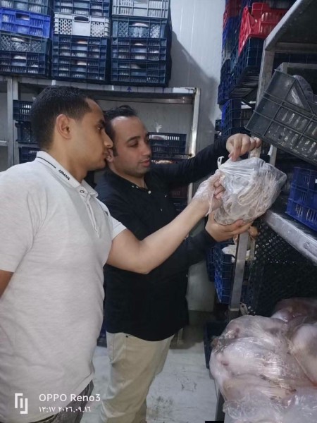 ضبط 246 كيلو برجر لحوم مجهولة المصدر داخل مكان تجهيز تابع لمطعم شهير بدكرنس في الدقهلية