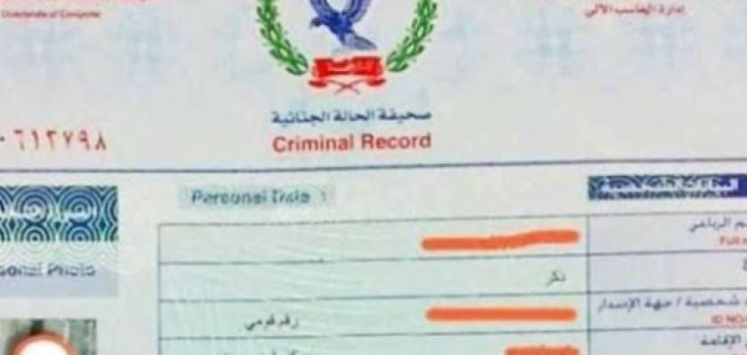 استخراج فيش وتشبيه أونلاين بالموبايل.. الرابط والأوراق
