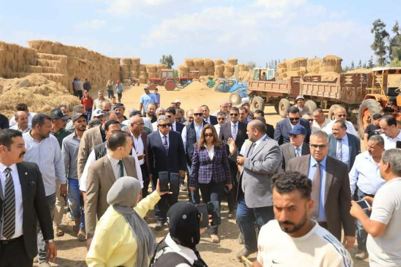 وزيرة التنمية المحلية والبيئة ومحافظ الدقهلية يتفقدان موقع تجميع قش الأرز ببلقاس لمواجهة السحابة السوداء