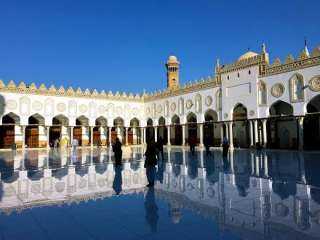 تجارة مع الله لا تخسر.. عالم أزهري يكشف فضل المداومة على هذا العمل