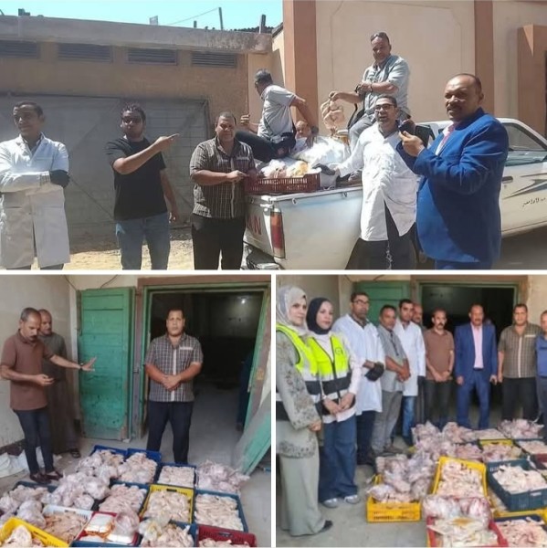 سوهاج: ضبط كميات كبيرة غير صالحة من الدواجن ومشتقاتها بمطعم شهير