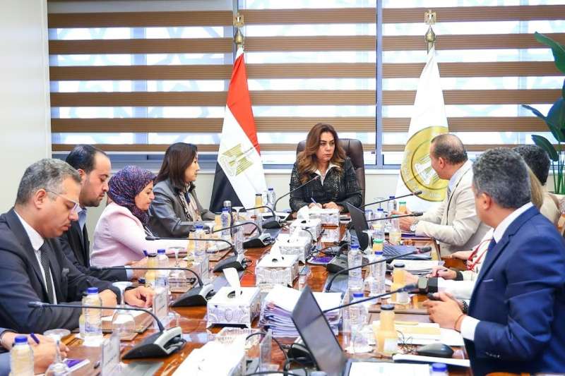 وزيرة التنمية المحلية والبيئة تتابع مع ممثلي برنامج الأمم المتحدة الإنمائى الموقف التنفيذى لمشروع الدعم الفني للوزارة ومشروعات التنمية الاقتصادية بـ4 محافظات بالصعيد