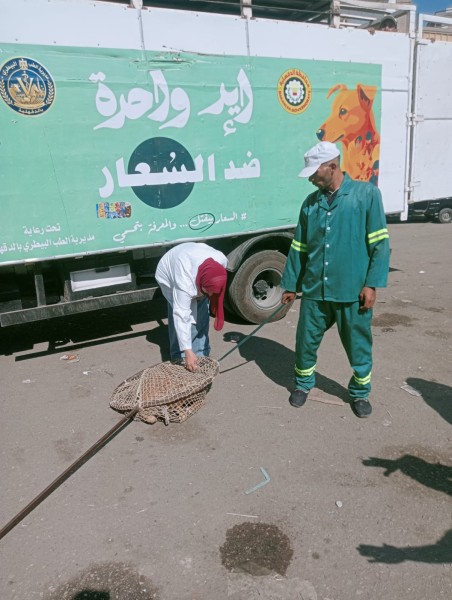 محافظ الدقهلية يتابع حملات مواجهة الكلاب الضالة بمدينة بلقاس