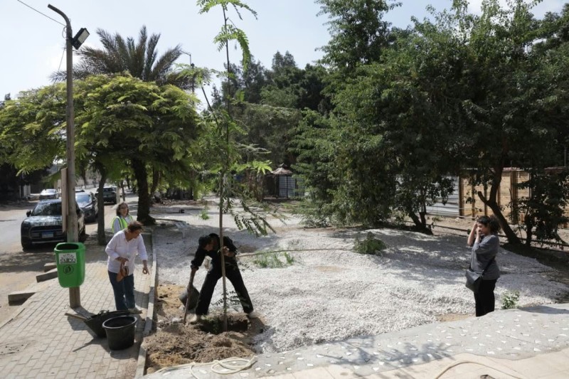 وزارة التنمية المحلية والبيئة تشجع المشاركة المجتمعية في تشجير وتجميل شوارع سرايات المعادي بالقاهرة