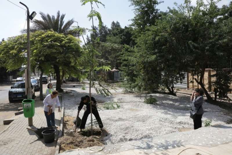 وزارة التنمية المحلية والبيئة تشجع المشاركة المجتمعية في تشجير وتجميل شوارع سرايات المعادي بالقاهرة