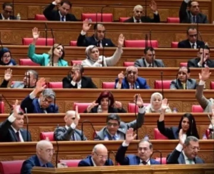 مجلس النواب يوافق نهائيًا على حـذف المادة 25 من قانــون إنشاء جامعة كيان استجابة لاعتـراض السيسي