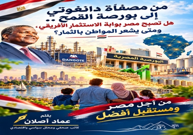 من مصفاة دانغوتي إلى بورصة القمح.. هل تصبح مصر بوابة الاستثمار الأفريقي؟