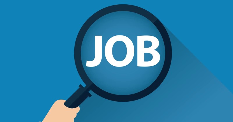 برواتب تصل إلى 16 ألف جنيه.. وظائف وزارة العمل والتضامن الاجتماعي 2026
