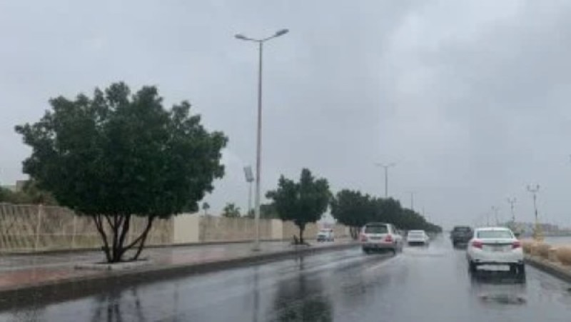 أمطار غزيرة وانخفاض بالحرارة.. الأرصاد تكشف تفاصيل طقس الساعات المقبلة