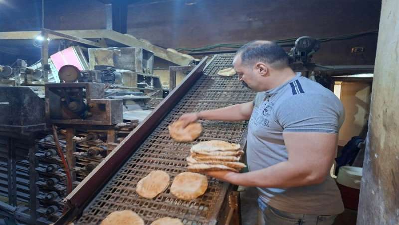 حملات مفاجئة ومستمرة لضبط منظومة الخبز المدعم بالغربية